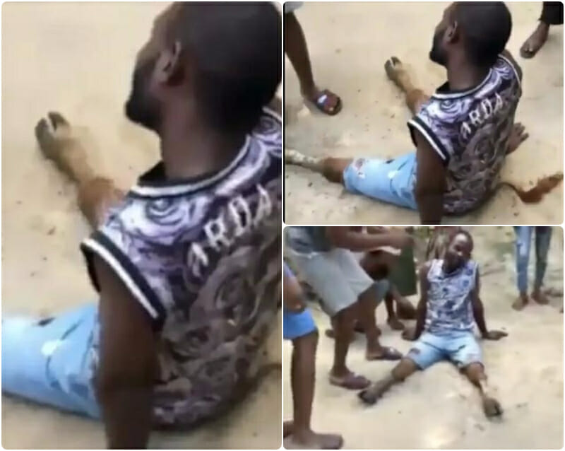 Man turns into a cow shortly after sleeping with a married woman, video evidence shared 1 cow