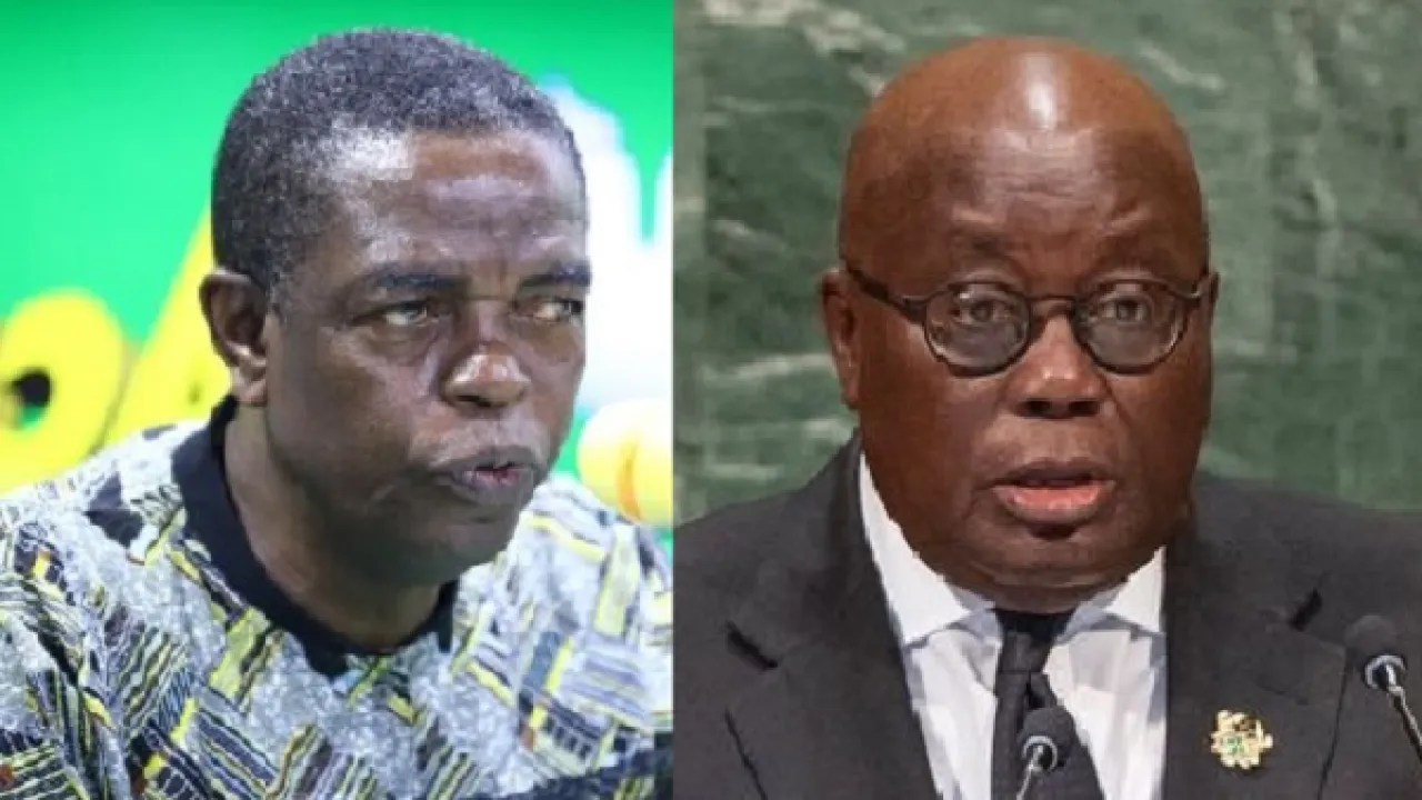 Kwesi Pratt And Akufo Addo