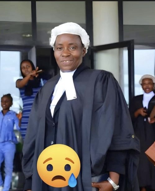 b40ddab2 a2b2 4fd7 a1c2 4070da8f0367 6