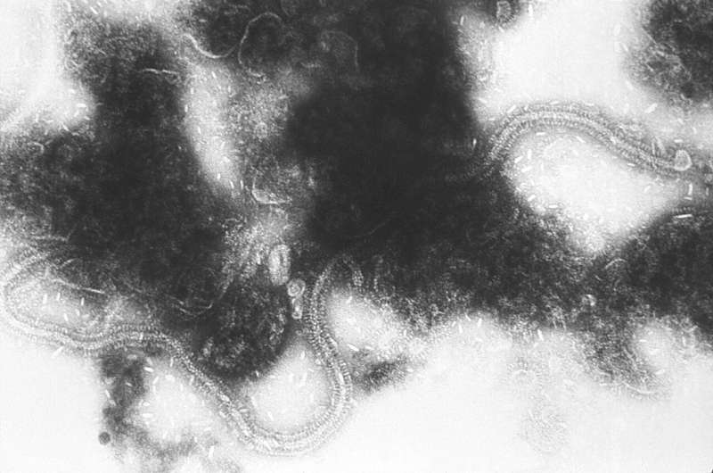 RSV cases surging earlier than in previous years 1