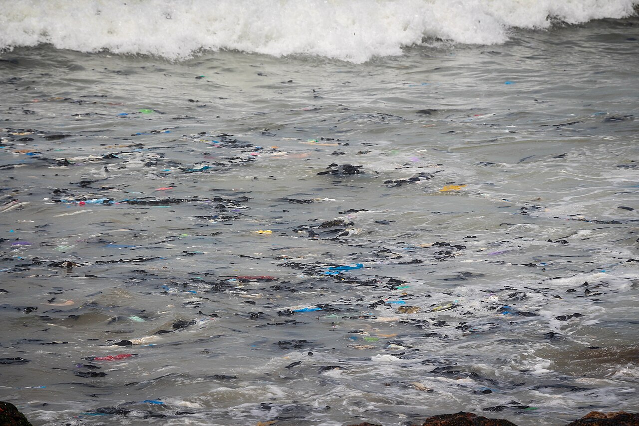 A scenic view of the Ghanaian coastline where environmental authorities are investigating marine strandings.